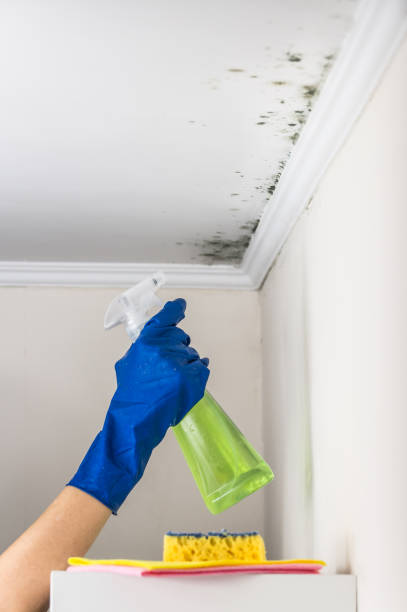 Water Damage Restoration in White Cloud, MI